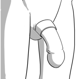 Illustration of how and where the girth bands are worn